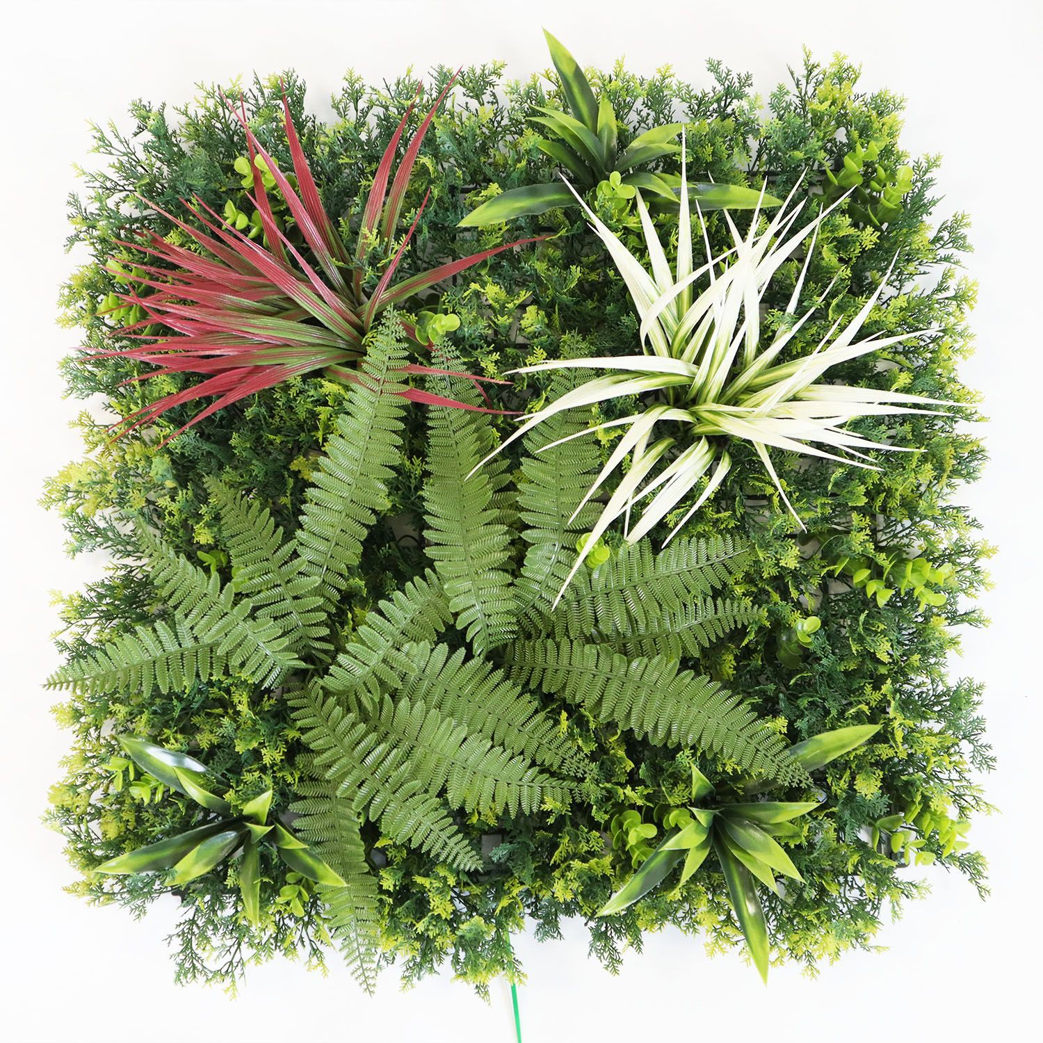 greenery wall indoor greenery wall indoor