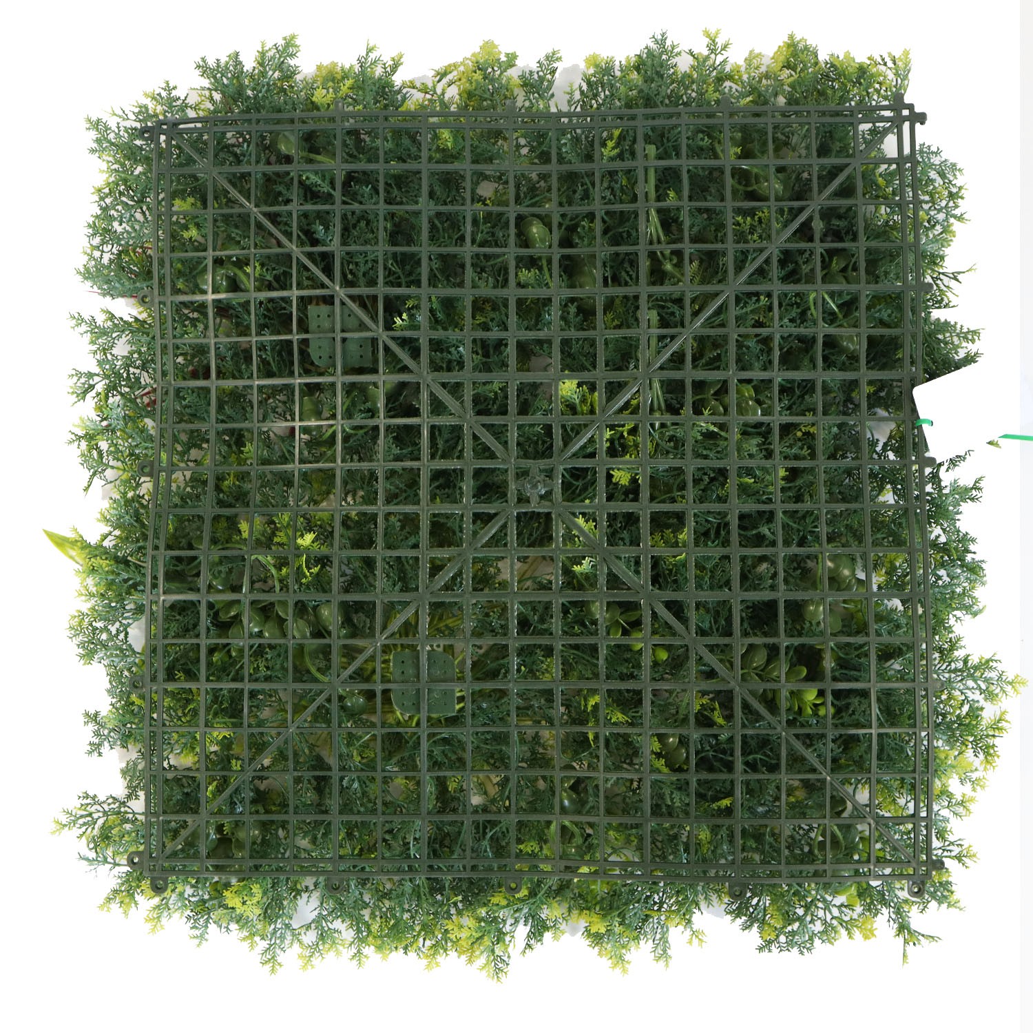 inside vertical garden inside vertical garden