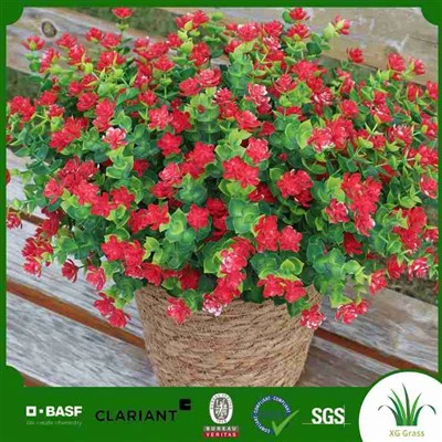 Gervi succulents magn