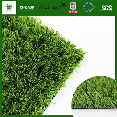 Fótbolta gras á jörðinni