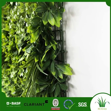 Wall Ivy inni