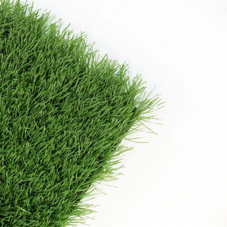 Soccer Football Field Stadium Grass