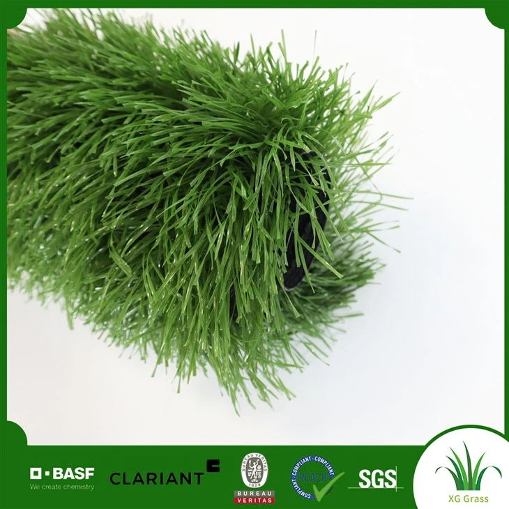 Fótbolta Fótboltavöllurinn Grass