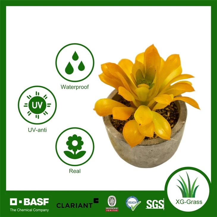 Xingu Vibrant Faux Succulent Arrangements For Modern Home Decor high quality